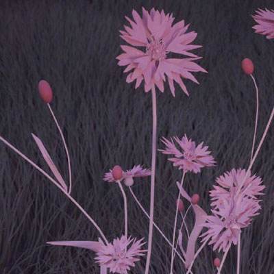 星空体育平台官网手机app下载